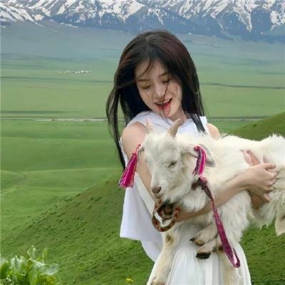 杨成武强攻东团堡